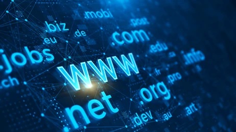 Website Domain Name/URL